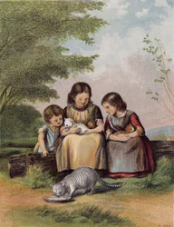 The Pet Kittens